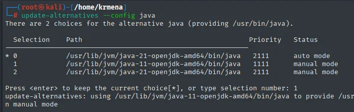 update-alternatives lista las dos alternativas de java, la 21 en auto y la 11, y se selecciona la opción 1