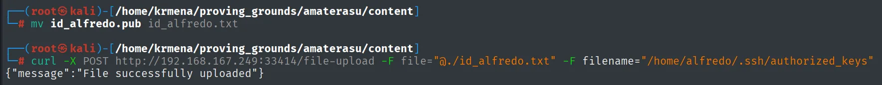 curl sube la clave como authorized_keys y la API responde File successfully uploaded