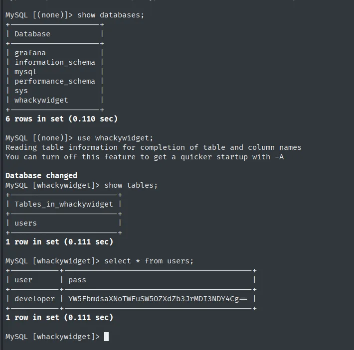 whackywidget.users: developer con la contraseña en base64
