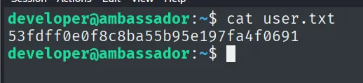 cat user.txt en el home de developer devuelve la flag de usuario