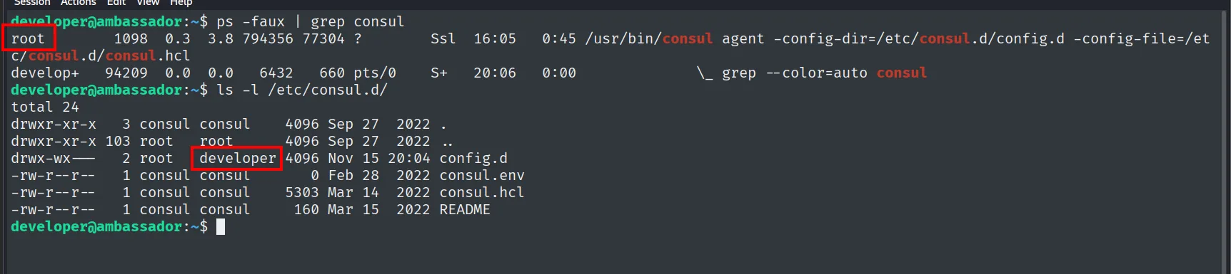 ps muestra consul ejecutándose como root y ls revela que config.d pertenece al grupo developer con permiso de escritura