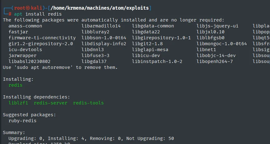 instalación del cliente de Redis en Kali
