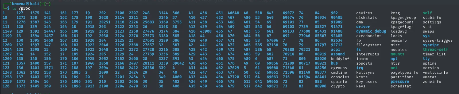 ls /proc mostrando decenas de directorios numerados junto a entradas como cmdline, net o self