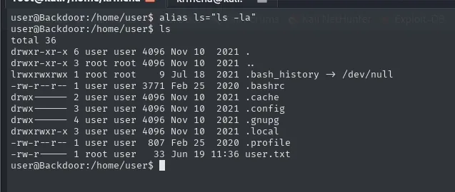 ls -la de /home/user mostrando user.txt y el .bash_history enlazado a /dev/null