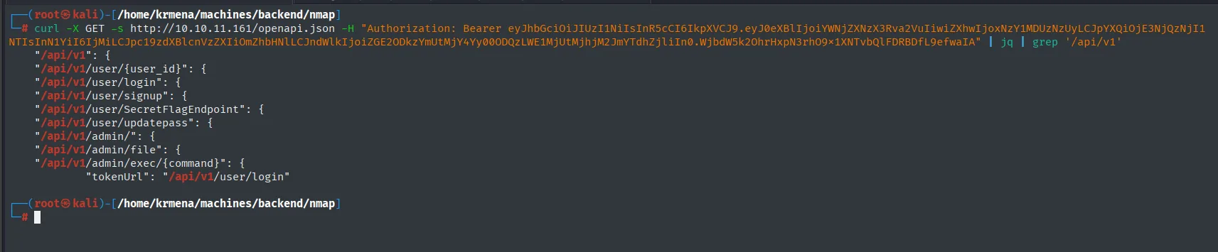 openapi.json filtrado revelando updatepass, admin/file y admin/exec