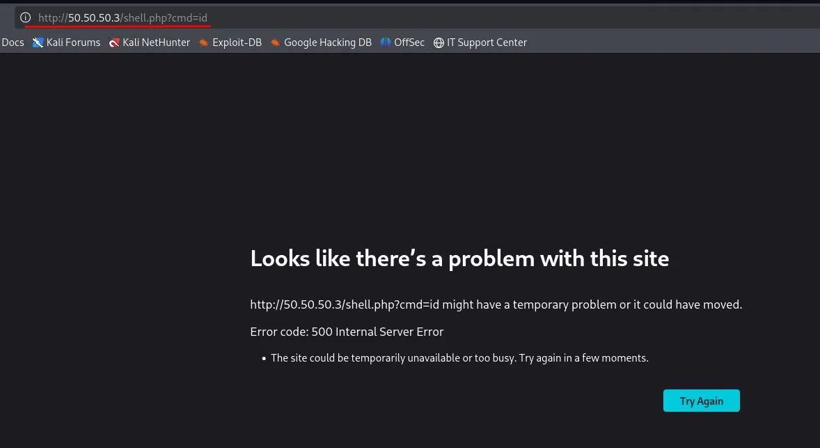 shell.php responde 500 hasta que se le pasa el parámetro adecuado