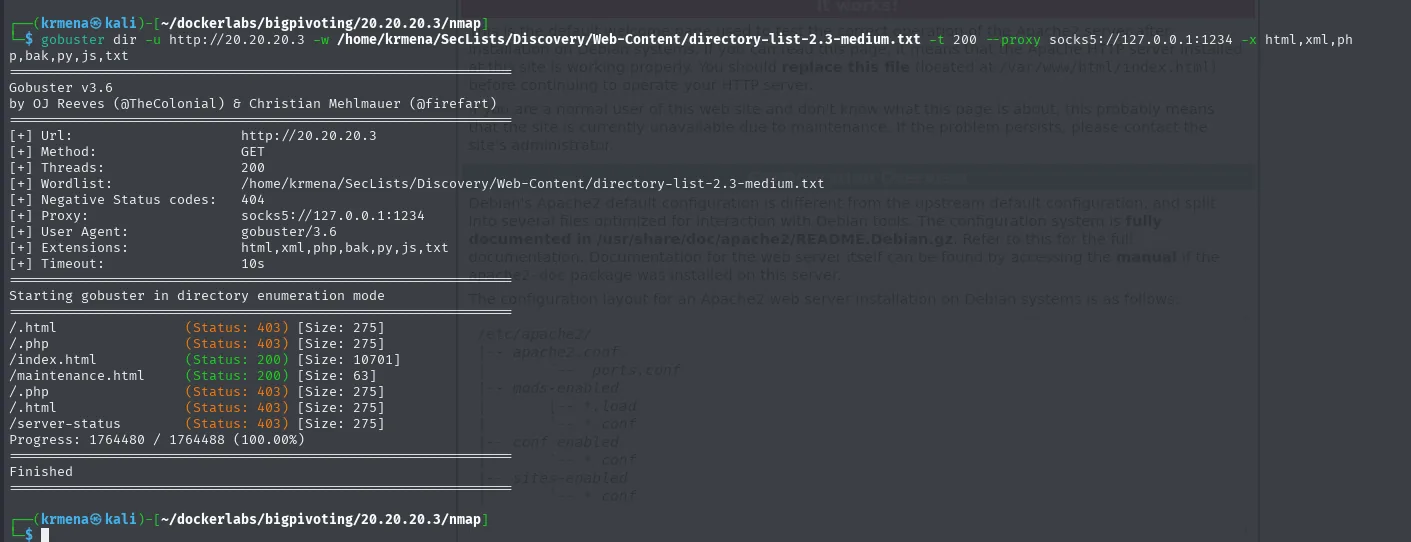 gobuster a través del proxy socks5 encuentra index.html y maintenance.html en 20.20.20.3