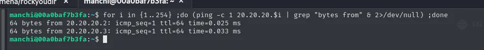 El bucle de ping desde la víctima encuentra vivos 20.20.20.2 y 20.20.20.3
