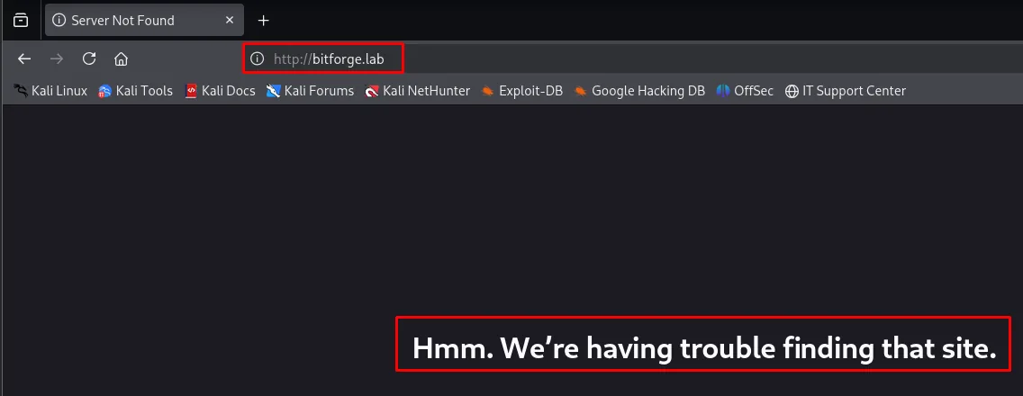el navegador no encuentra bitforge.lab y responde Hmm. We're having trouble finding that site.