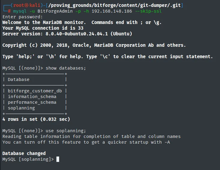 la conexión a MySQL como BitForgeAdmin lista cuatro bases, entre ellas bitforge_customer_db y soplanning