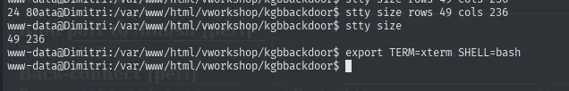 stty size devuelve 49 236 y se exportan TERM=xterm y SHELL=bash en la sesión de la víctima