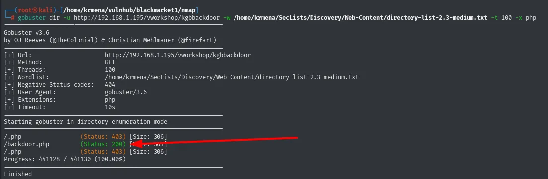 gobuster sobre /vworkshop/kgbbackdoor encuentra /backdoor.php con Status 200 tras recorrer 441130 peticiones