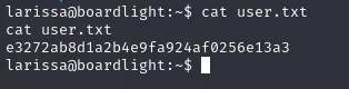 user.txt leída como larissa