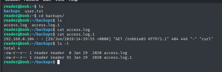 el home de reader contiene backups y user.txt; dentro de backups hay access.log vacío y access.log.1 con una única línea de log de 2019
