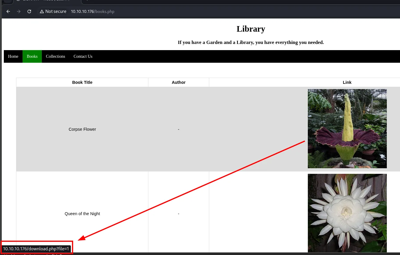 biblioteca tras registrarse, con libros descargables