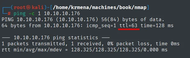 ping a 10.10.10.176 con ttl=63