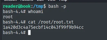 bash -p como root y root.txt