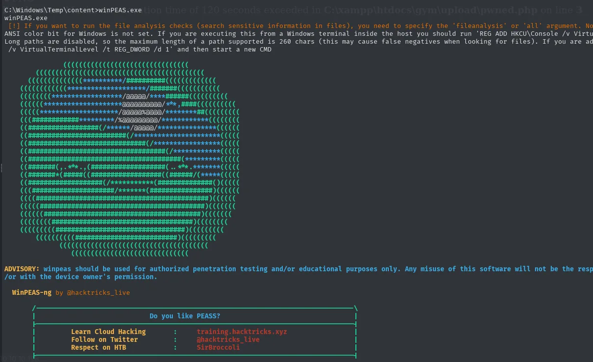 winPEAS arranca con su banner ASCII y avisa de que sin el argumento fileanalysis no busca información sensible en ficheros