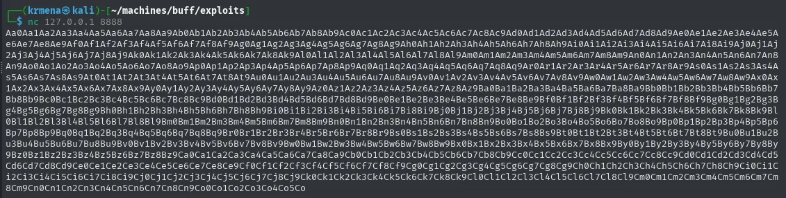 el patrón cíclico pegado en la sesión de netcat contra 127.0.0.1:8888
