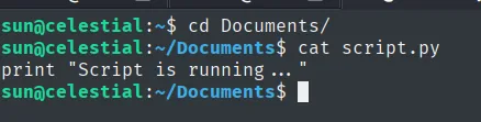 cat script.py: un único print "Script is running ..."