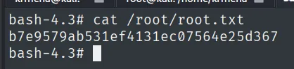cat /root/root.txt con la flag de root