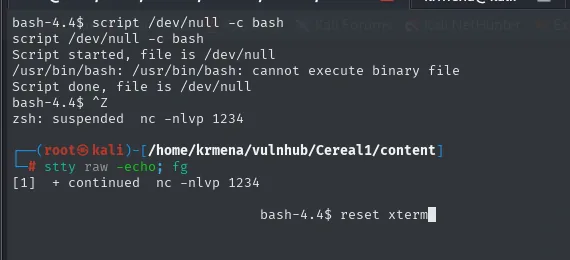 el script /dev/null avisa cannot execute binary file pero deja la shell, y tras el Ctrl+Z, el stty raw -echo; fg y el reset xterm vuelve el prompt bash-4.4$