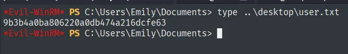 el type de user.txt devuelve la flag de usuario
